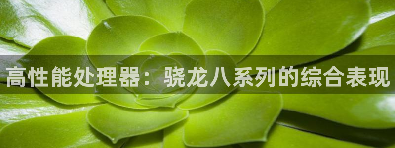 sbobet利记体育平台登录入口：高性能处理器：骁龙八系列的综合表现