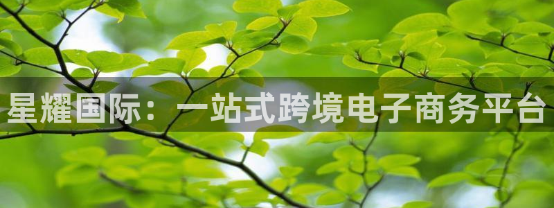 sbobet利记.ccmpc正版：星耀国际：一站式跨境电子商务平台