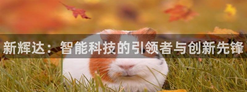 sbobet利记网站平台登录：新辉达：智能科技的引领者与创新先锋