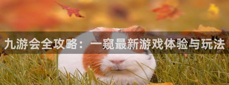 sbobet利记平台：九游会全攻略：一窥最新游戏体验与玩法
