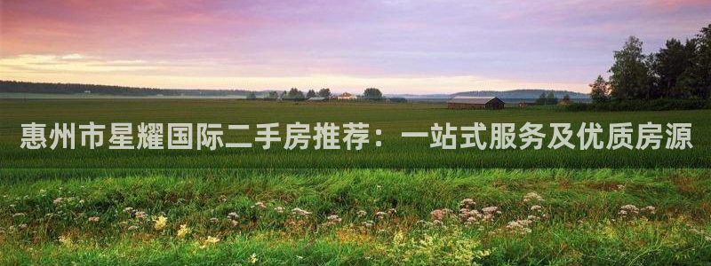 sbobet利记是啥：惠州市星耀国际二手房推荐：一站式服务及优质房源