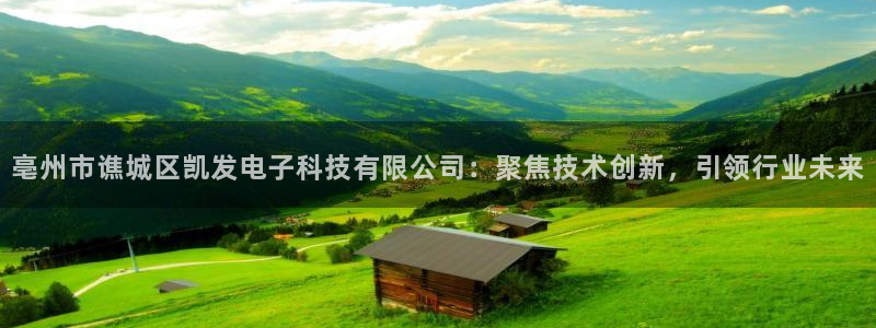 sbobet利记体育官网登录：亳州市谯城区凯发电子科技有限公司：聚焦技术创新，引