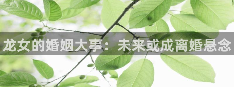 sbobet利记电子有限公司：龙女的婚姻大事：未来或成离婚悬念