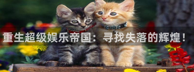 sbobet利记手机客户端下载安装：重生超级娱乐帝国：寻找失落的辉煌！