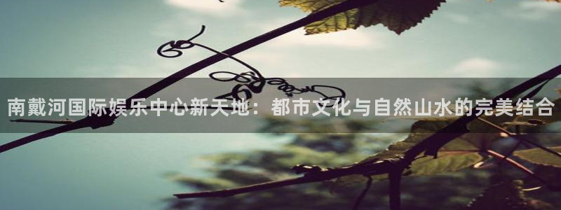 sbobet利记官网版下载：南戴河国际娱乐中心新天地：都市文化与自然山水的完美结