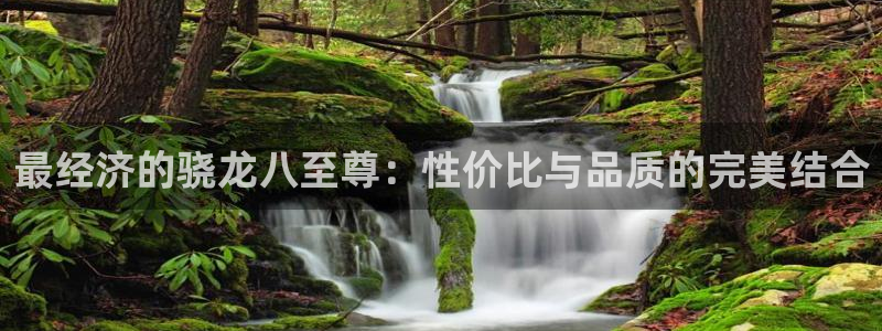 sbobet利记能源：最经济的骁龙八至尊：性价比与品质的完美结合