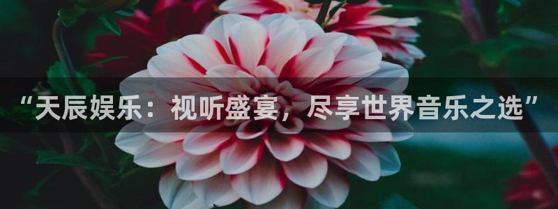 sbobet利记体育凯捷代理注册：“天辰娱乐：视听盛宴，尽享世界音乐之选”