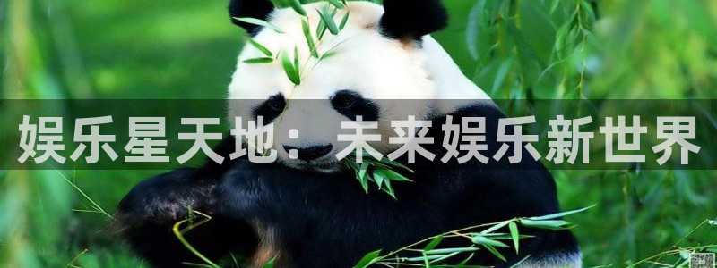 sbobet利记游戏官网入口：娱乐星天地：未来娱乐新世界