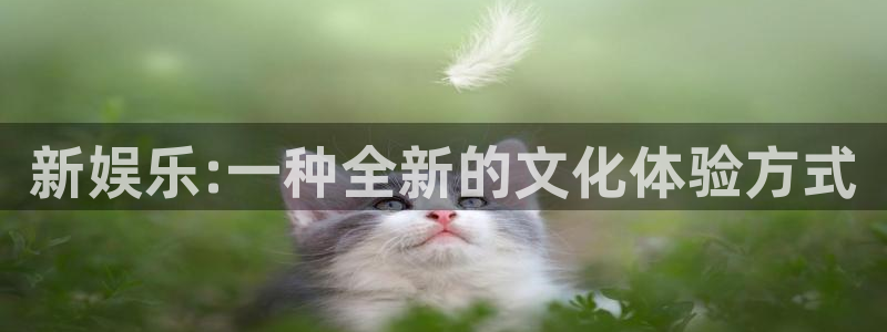 sbobet利记游戏试玩：新娱乐:一种全新的文化体验方式