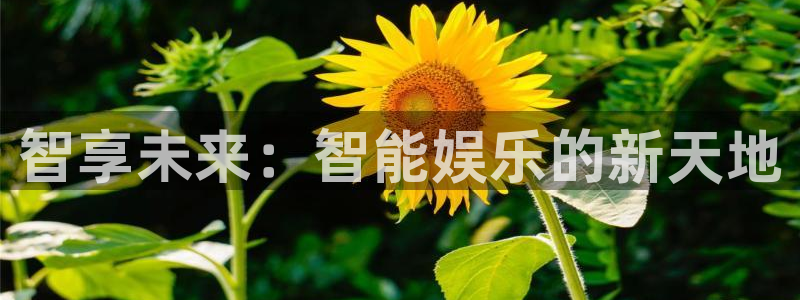 sbobet利记平台：智享未来：智能娱乐的新天地