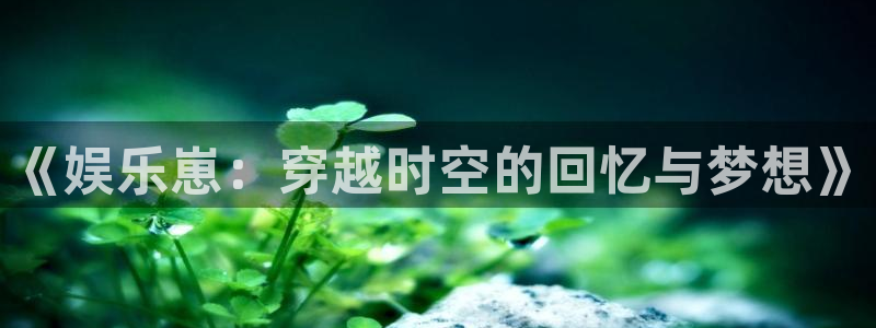 sbobet利记平台在线注册：《娱乐崽：穿越时空的回忆与梦想》