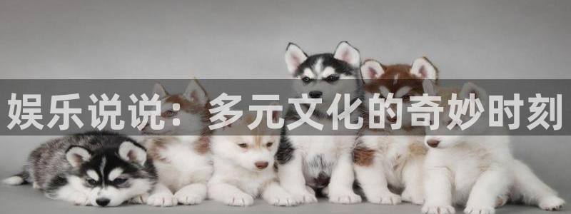sbobet利记怎么下载：娱乐说说：多元文化的奇妙时刻